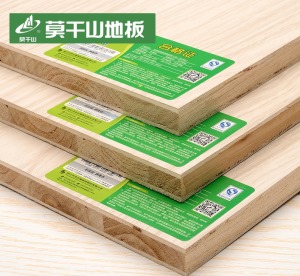 公司介绍