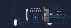 公司介绍