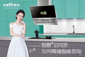 公司介绍