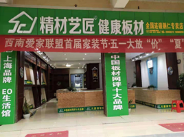 公司介绍