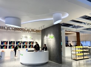 公司介绍